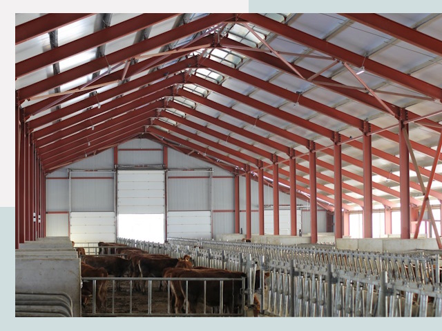 Строительство коровников в Ярославле