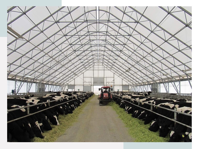 Тентовые коровники в Ярославле от 616 руб. - Надежно и доступно