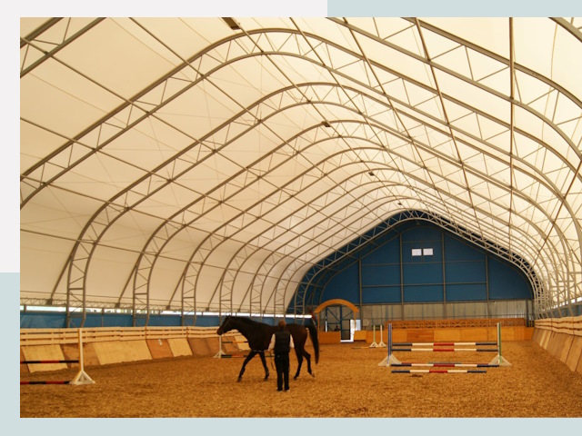 Строительство конных манежей в Ярославле